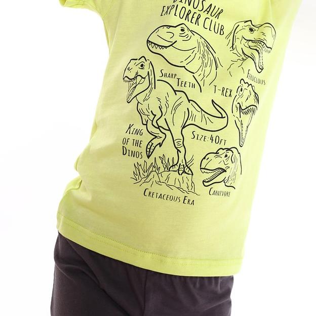 Комплект (футболка, шорты) для мальчика Let's go, рост 98-104 см лайм, серый ОПТ фото 9