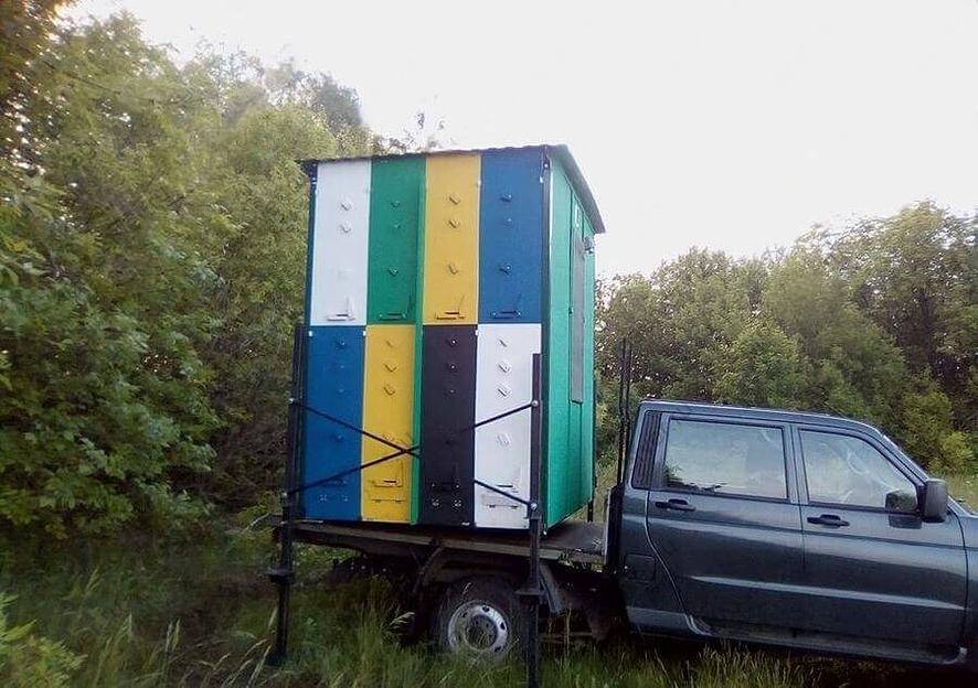 Пчелопакеты на заказ фото 2