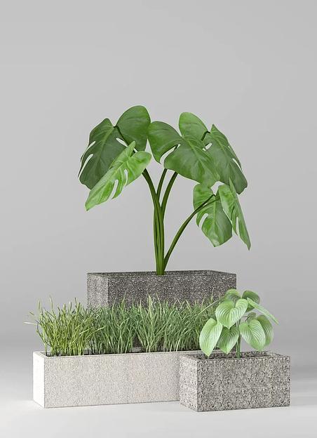 Цветочный вазон СтаркБет «Пилея средняя» 20 л ОПТ фото 2