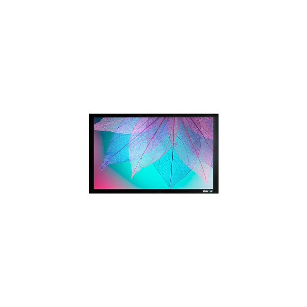 Экран Cactus FrameExpert CS-PSFRE-220X124, 220х124 см, 16:9, настенный фото 1
