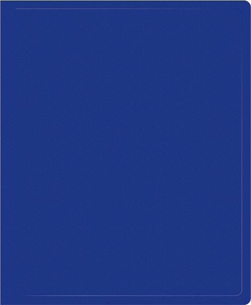 Папка на 2-х кольцах Silwerhof Eco SE-0420/2RBLU A4 пластик 0.5мм кор.30мм синий фото 1