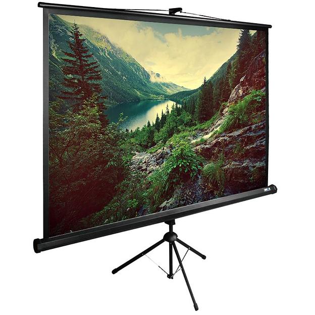 Экран Cactus 220x220см TriExpert CS-PSTE-220x220-BK 1:1 напольный рулонный черный фото 1