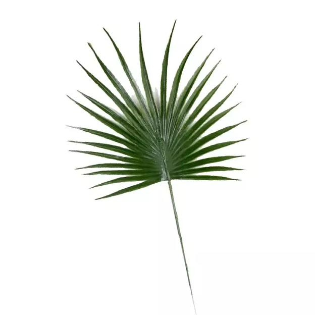 Лист пальмы круглый с острыми концами 2м270 фото 2