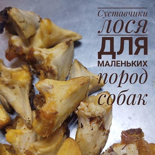 Лакомство для собак «Суставчики лося для маленьких пород собак», опт фото 1