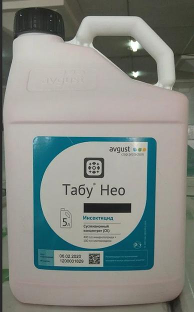 Табу Нео, СК фото 1