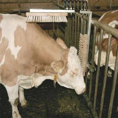 Щетка-чесалка для скота TEXAS, в сборе ОПТ фото 3