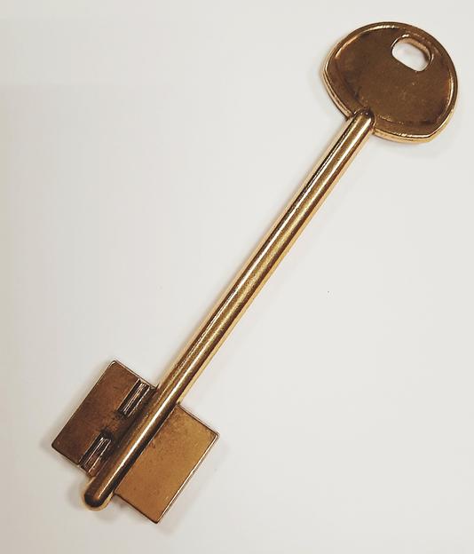 Заготовка ключа Гардиан 4 фото 1