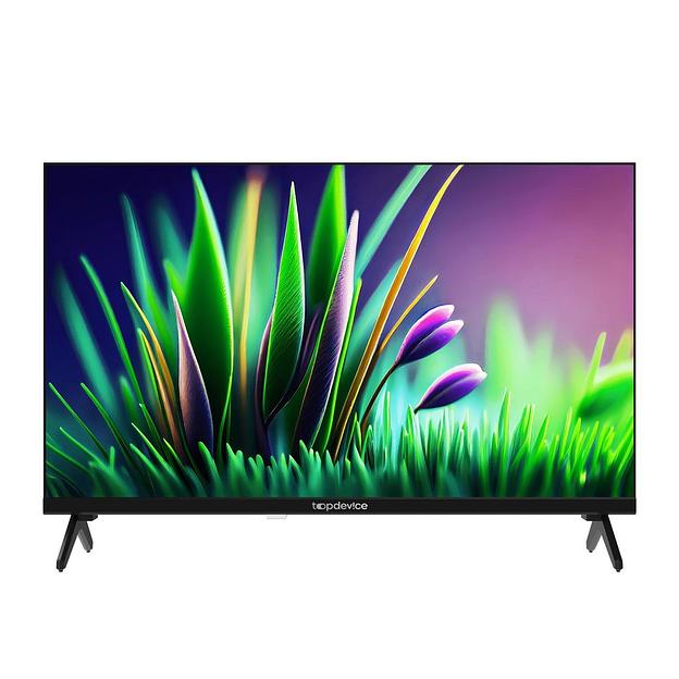 Topdevice TDTV24CN04H_BK {HD ready/T2/S2/CI+/Dolby/AAC/black} фото 1