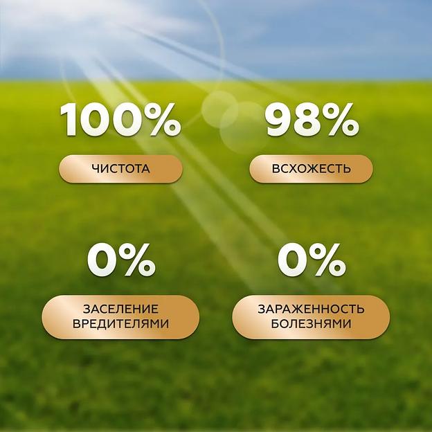 Семена газонной травы «Мини топ» 800 грамм ОПТ фото 4