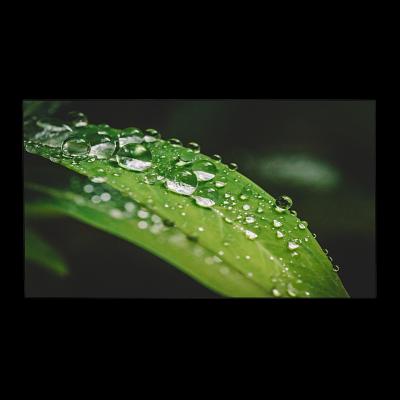 Тонкошовная ЖК панель 55", IPS, FHD, 700 кд/м2, шов: 0.88 мм, входы: VGA/DVI/2xHDMI/DP, выходы: DP, поддержка 4K Dahua DHI-LS550UEM-UG фото 1