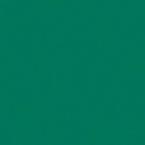 Лист УПС 2х2000х3000мм (12,6 кг) Изумрудный 2408 с пленкой фото 1