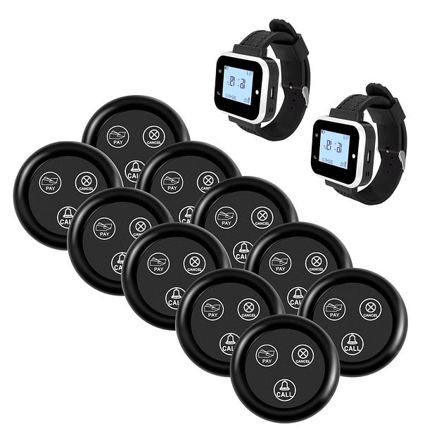 Система вызова из 2-х часов и 10 кнопок SWB34-2 фото 1