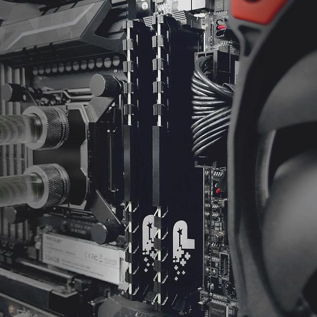 Patriot SL Premium DDR4 16GB 3200MHz UDIMM KIT with HS фото 4