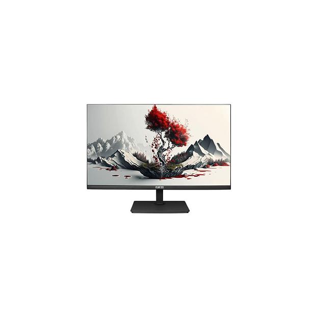 23.8" Монитор RDW COMPUTERS RDW2401K, "R", 1920x1080, IPS, 100Гц, 1хHDMI, 1хDP, черный [2401k/f00в0100v2a1h] фото 1