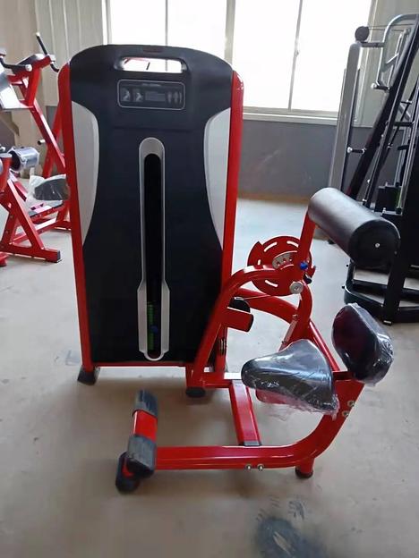 Пресс-машина Insight Fitness TF10 фото 7