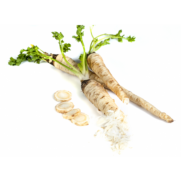 Профессиональные семена петрушка корневая «Петровна» опт фото 1