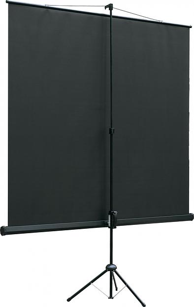 Экран на треноге Lumien 153x153см Eco View LEV-100106 1:1 напольный рулонный фото 2