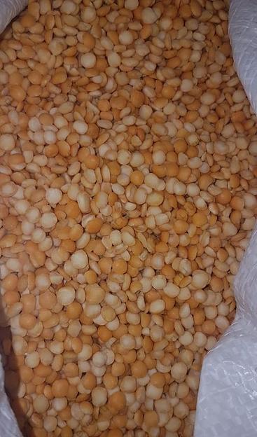 Половинки нута опт фото 1