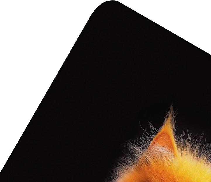 Коврик для мыши Cactus Red Cat 220x180x2мм (CS-MP-P11XS) фото 5