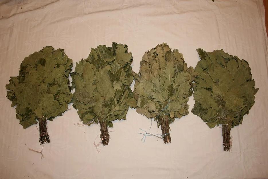 Веник Канадский дуб ОПТ фото 4