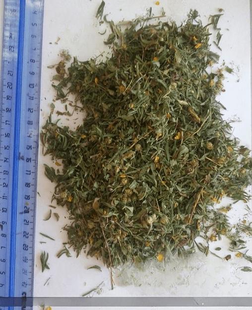 Топинамбур корень фото 1