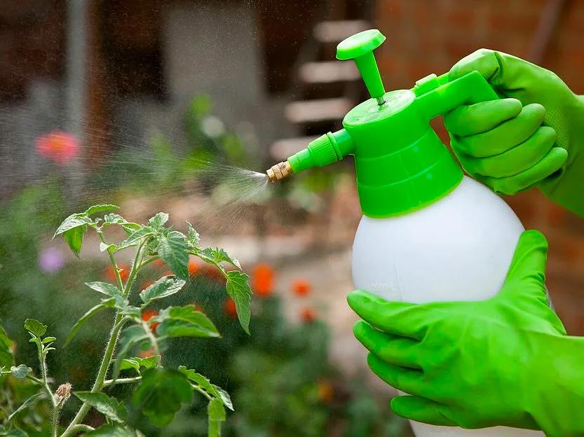 Средство защиты растений Броадер, КЭ (150 г/л дифеноконазол + 150 г/ л пропиконазола) фото 1