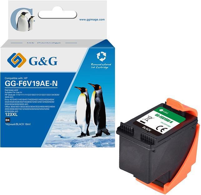 Картридж струйный G&G GG-F6V19AE-N 123XL черный (18мл) для HP DJ 1210/1212/1212/2130/2131/2132/2133/2134/2630/3639 AIO;Envy 4510/4512/4516/4517/4520/4521/4522/4523/4524/4524/4525/4526/4527/4528/5010/5012/5014/5020/5030/5032/5034/5052/5055 AIO;Office 3830/ фото 1