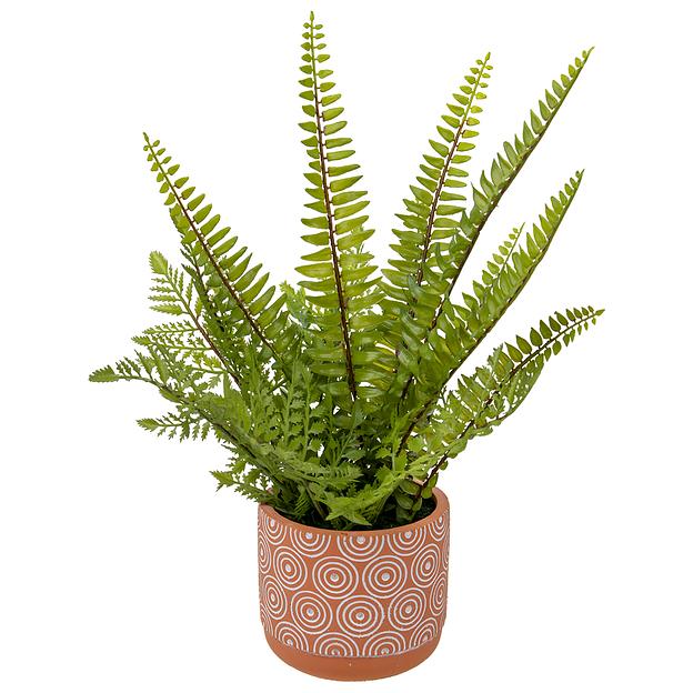Папоротник в керамическом горшке, Д120 Ш120 В420 фото 1
