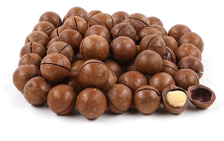 Орех макадамия в скорлупе, сорт 2А ОПТ  фото 1