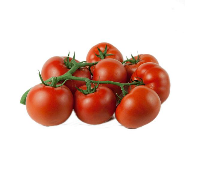 Профессиональные семена томата F1 «Хортица» опт фото 1