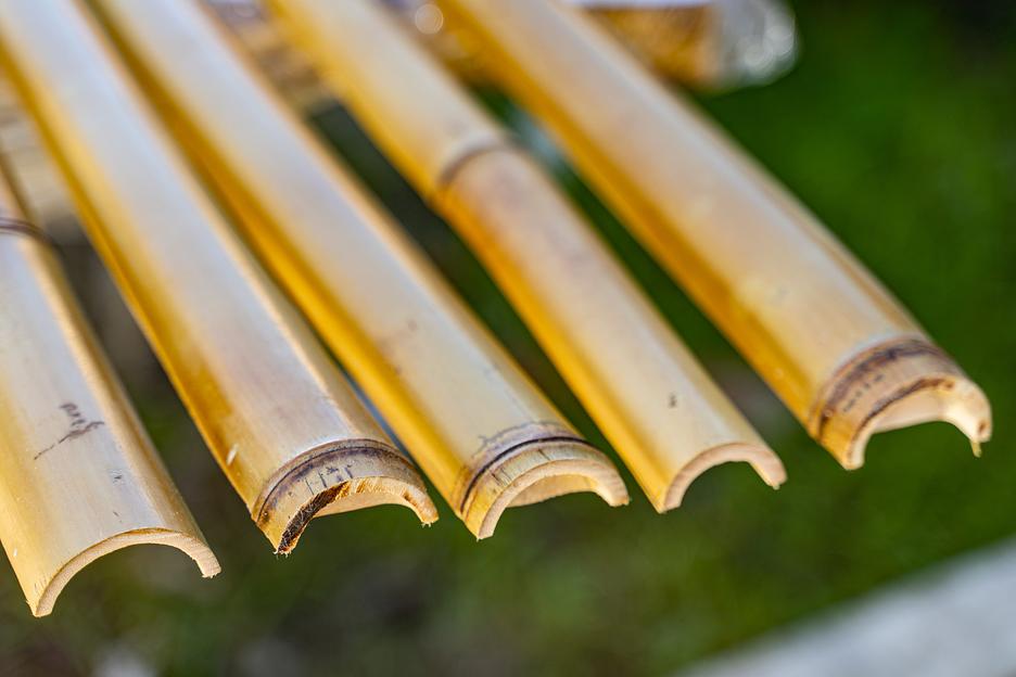 Половинка ствола бамбука, 3 м, Светлый, опт фото 1