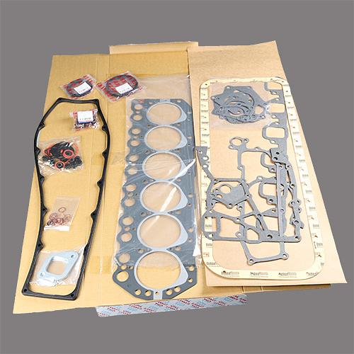 Ремкомплект двигателя 10101-06J25 THO фото 1