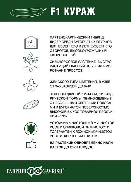 Семена огурца «F1 Кураж» опт фото 2