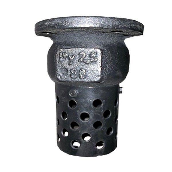Клапан обратный чугунный 16ч42р для труб фото 1