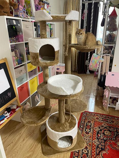 Когтеточка Zoofabrika Д120 ОПТ фото 4