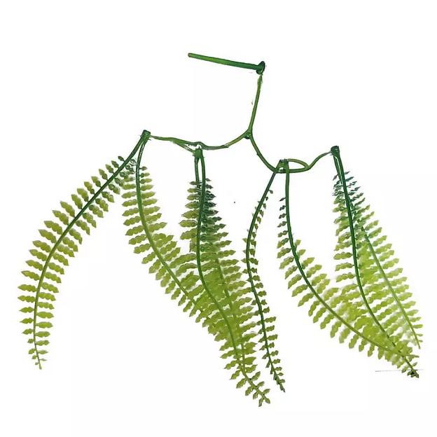 Добавка на ветку Папоротник двойной 167с зелёная 16,5см 640шт/кг фото 2