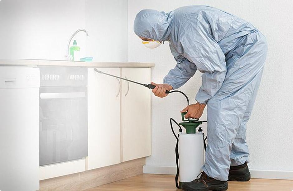 Услуга по комплексной дезинфекции квартир фото 1