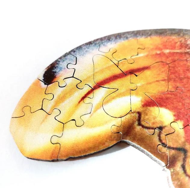 Деревянные пазлы «Павлиногазка атлас» M 40×20 см 194 детали фото 6