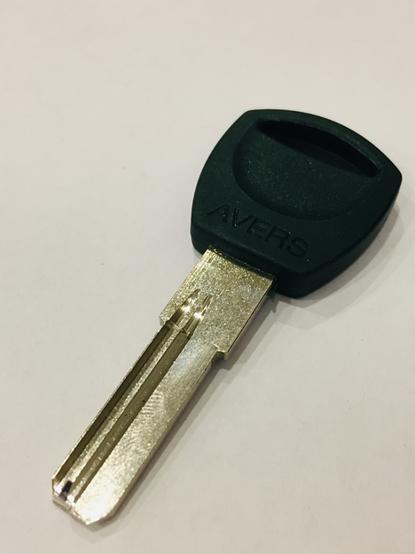 Заготовка ключа AVERS-2P фото 1
