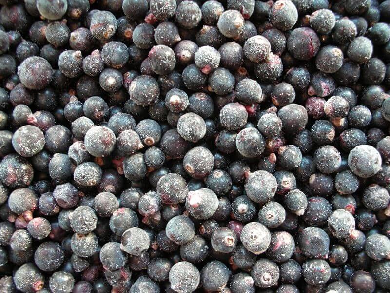Чёрная смородина «Глобал Фрост» замороженная  фото 1