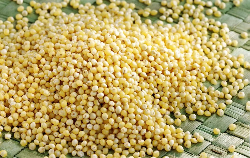 Просо 100т в Южном федеральном округе фото 1