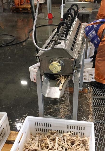 Устройство очистки лап/голов птиц ВИ-1041 фото 3