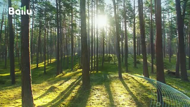 Приточный очиститель воздуха Ballu «Air Master» BMAC-200 фото 9