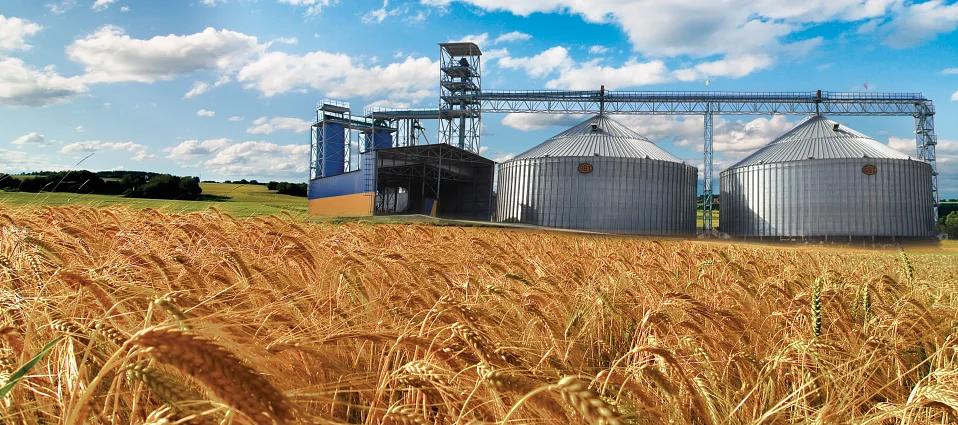 Услуга по хранению кукурузы и пшеницы в Краснодарском крае фото 1