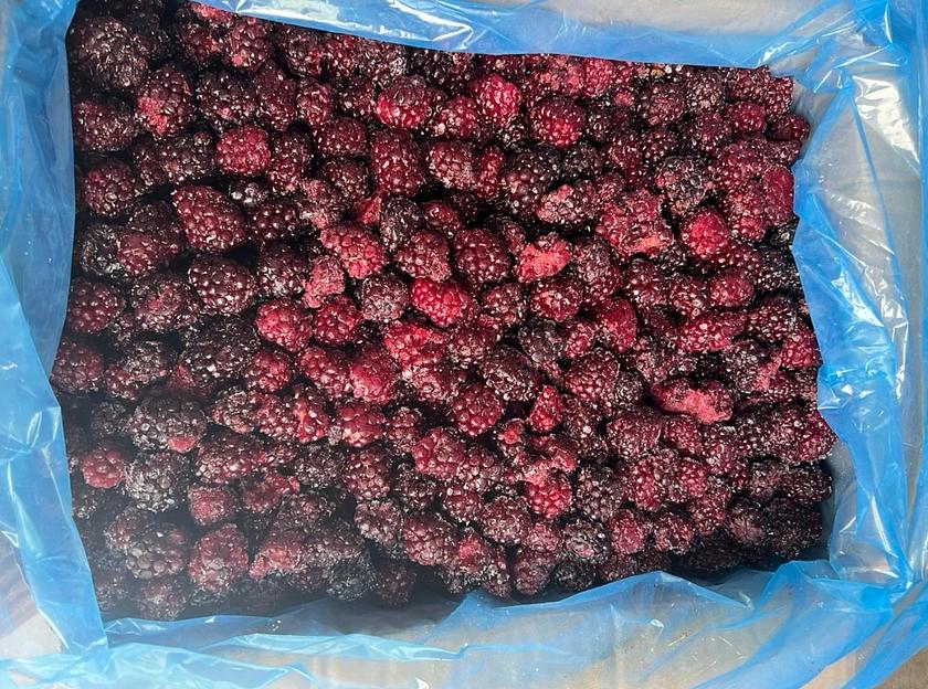 Ежевика замороженная опт фото 1