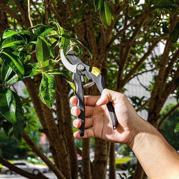 Набор сучкорез, кусторез, секатор Deli DL580003 длина 67/52/20 см, макс. диаметр реза 30/6/15 мм, сталь 55С фото 2