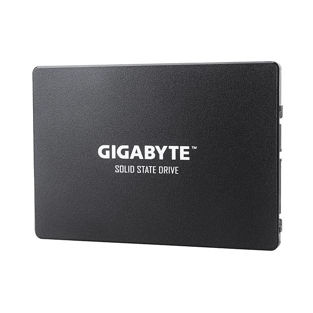 Твердотельный накопитель SSD  Gigabyte  GP-GSTFS31256GTND (4719331804329)  256GB фото 1