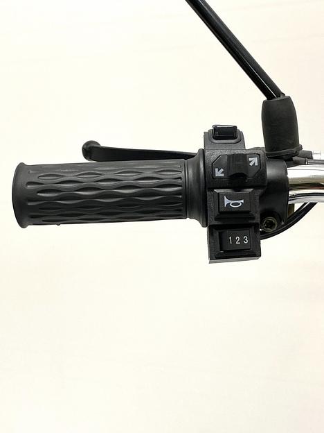 Электровелосипед GreenCamel Транк 20 V8 PRO (R20 250W 60V10Ah) алюм, 2х подвес, DD, 123835 фото 9