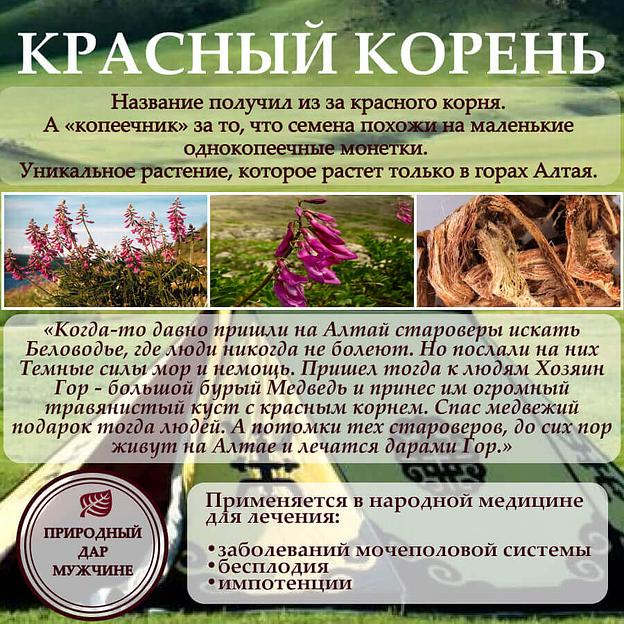 Алтайский бальзам с красным корнем и пантогематогеном 250 мл, опт фото 5