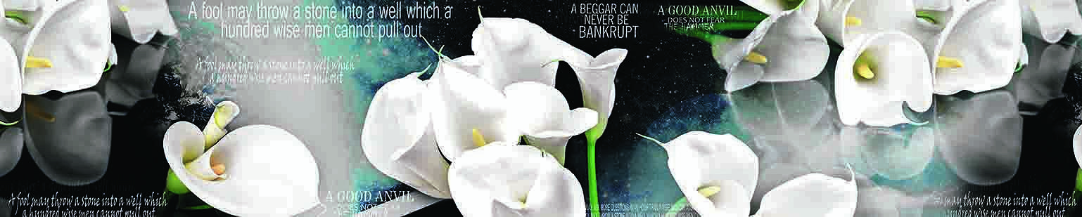 Фартук для кухни «Грациозные каллы» фото 1